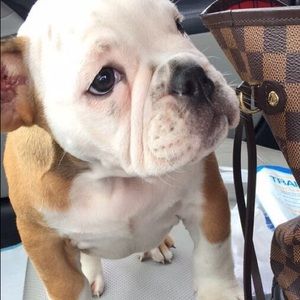 Meet your Posher, Sergio